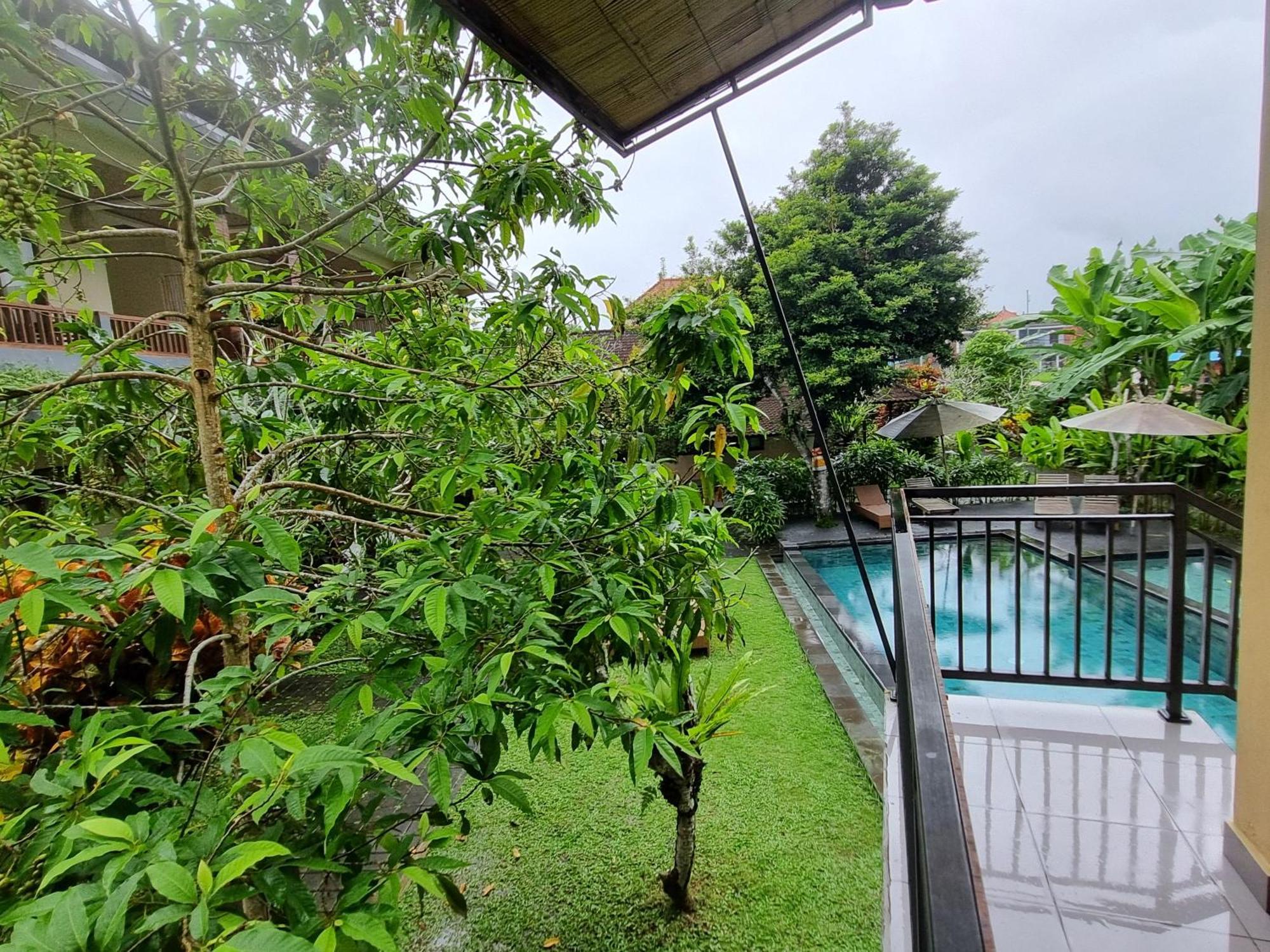 Nyoman Sandi Guest House Ubud  Ngoại thất bức ảnh