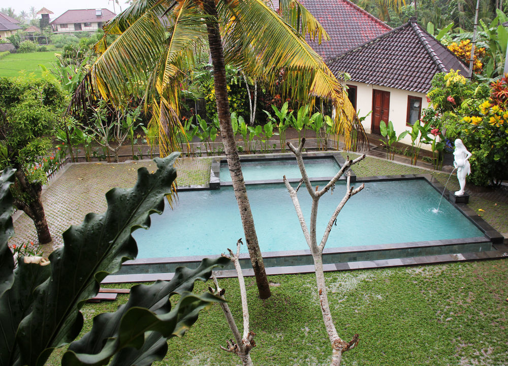 Nyoman Sandi Guest House Ubud  Ngoại thất bức ảnh